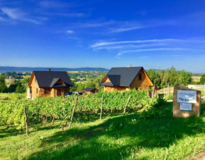 Winnica Nad Źródłem - Domki w winnicy z kominkami i tężniami, Dzierżawy